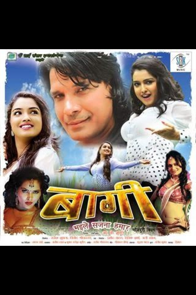 Baaghi Poster