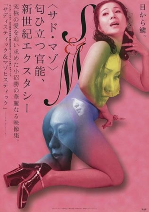 Sadisutikku & mazohisutikku Poster