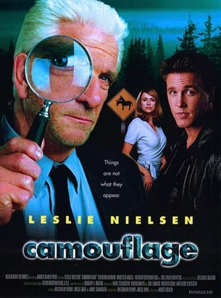 Camouflage Poster